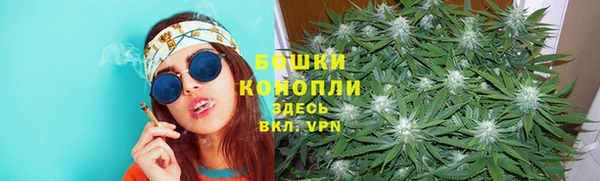 ПСИЛОЦИБИНОВЫЕ ГРИБЫ Белокуриха