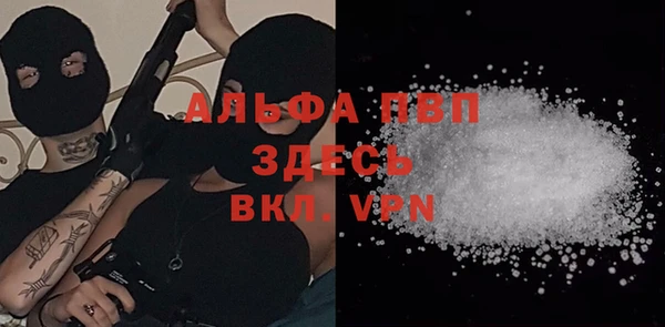 ПСИЛОЦИБИНОВЫЕ ГРИБЫ Белокуриха