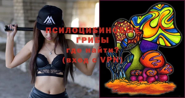 ПСИЛОЦИБИНОВЫЕ ГРИБЫ Белокуриха