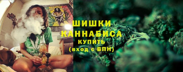 ПСИЛОЦИБИНОВЫЕ ГРИБЫ Белокуриха